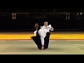 Aikido Suomessa 40-vuotisjuhlanäytös (2010) Seishiro Endo Shihan 8.dan