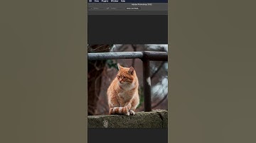 Remove Unwanted Objects in Different Ways | Photoshop Icebreakers #shorts #photoshop