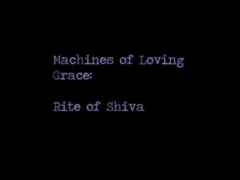 Machines of Loving Grace -- Rite of Shiva