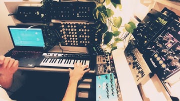 Another Late Night Jam (Vermona Perfourmer, Behringer Model D, Strymon and Eventide pedals)