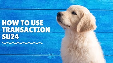 SAP Training How to learn about SU24 restrictions in SAP Security