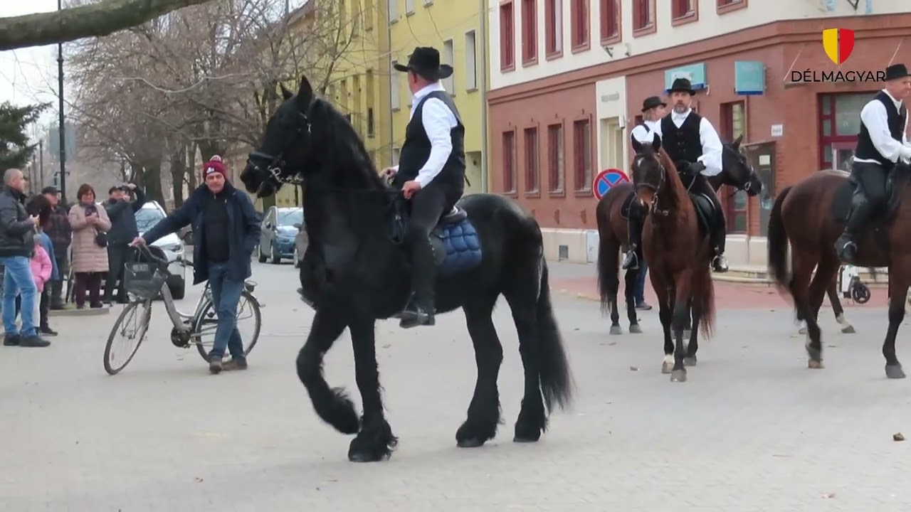 Elképesztő látvány Hódmezővásárhelyen: felvonult a lovasbandérium