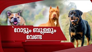 'റോട്ടും ബുള്ളും വേണ്ട ' | Govt bans 23 'ferocious' dog breeds | Spot Reporter 14 March 2024