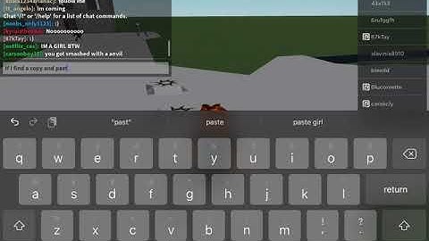 If I find a copy and paste girl, the video ends -Ragdoll engine