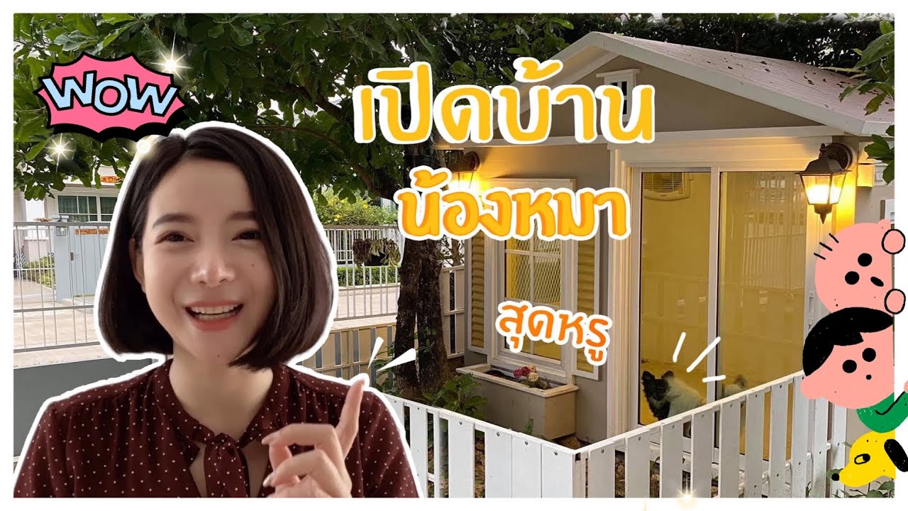 เปิดบ้านน้องหมา (บ้านแม่น้องโดม)