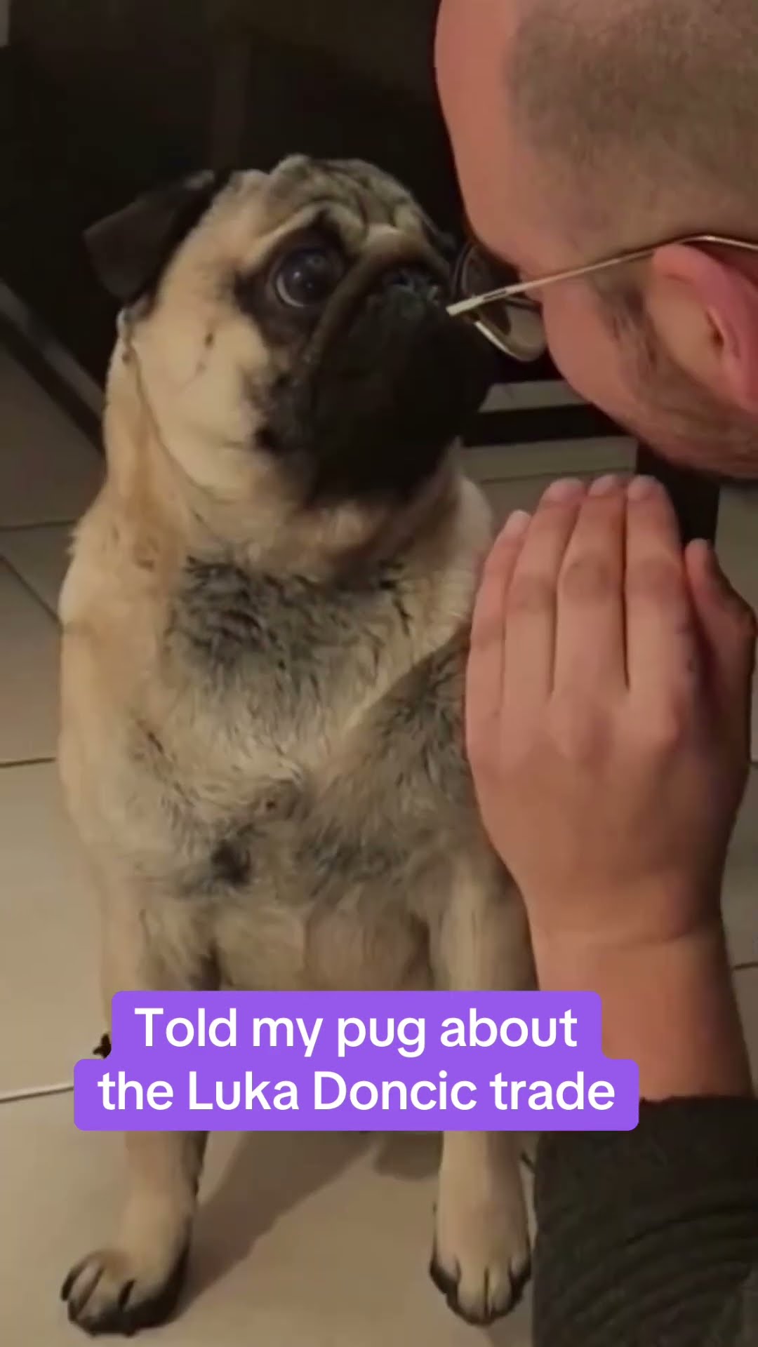 Perfect reaction ? (via @yourpugapollo/TT)