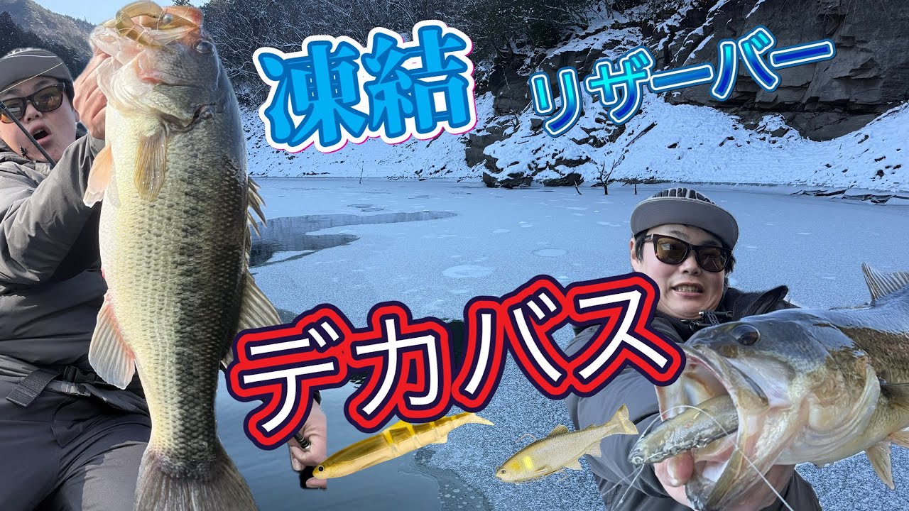 凍りつく極寒リザーバーでまさかのデカバス連打⁈【生野銀山湖】