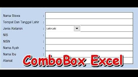 Penggunaan ComboBox dan VlookUp