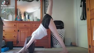 Three-Legged Dog, Lunge