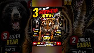 India ke 3 Dangerous Animals 😨 | Dekhte hi Attack! #viral #amazingfacts#trending #facts #animals