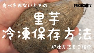 【冷凍保存】里芋のおいしい冷凍方法とおすすめ解凍料理