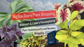Big Box Store Plant Shopping Walmart and Lowes Houseplants Outdoor Garden Local Nursery Plants by Grow Folds 1,663 views 2 weeks ago 1 hour, 6 minutes