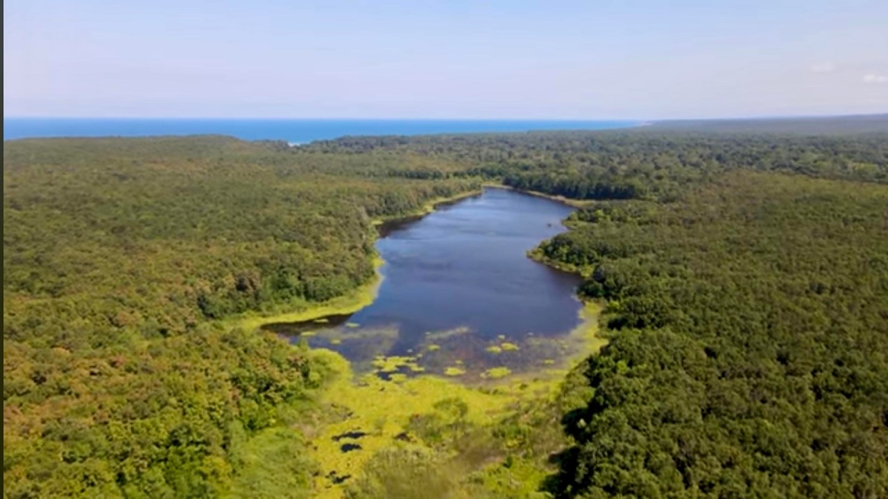 Kırklareli İĞNEADA Longoz Ormanları Milli Parkı Gezisi (Avrupa'nın en büyük LONGOZ ormanı)