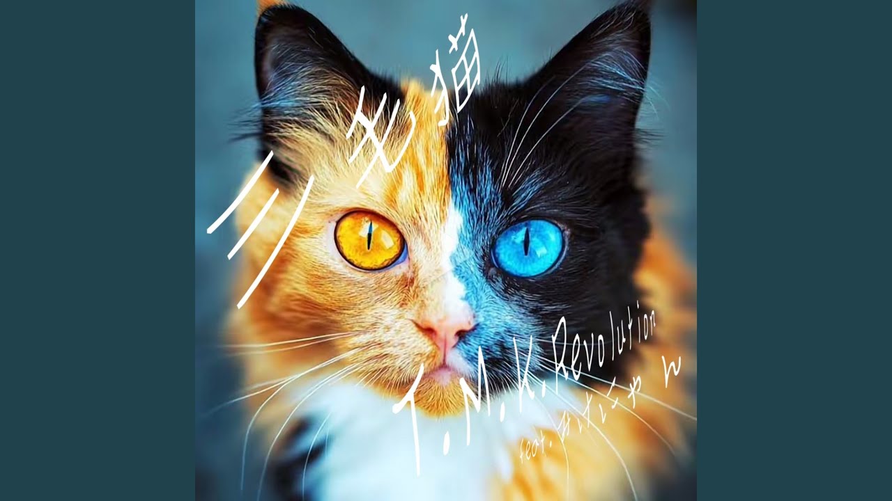 三毛猫 (feat. みけにゃん) - YouTube