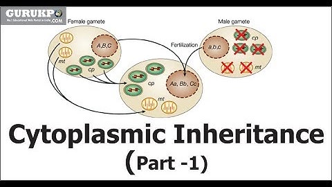 Cytoplasmic Inheritance Part -1 | Dr. renuka Verma