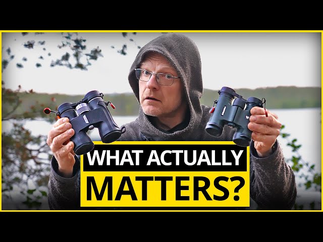 How to Use Binoculars With Glasses While Traveling: Expert Tips