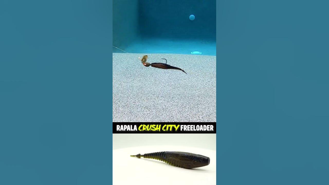New Rapala Crush City Freeloader Jacob Wheeler Bass Fishing Trailer #shorts  