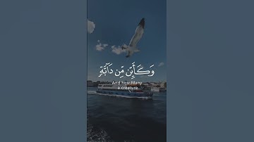 قران كريم راحة نفسية #قرآن #قران_كريم #راحة_نفسية