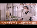 セブンルール【アドベンチャーワールド パンダチーム リーダー・吉田倫子】
