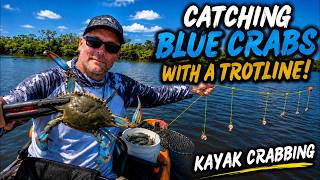I Put a Trotline in From My Kayak...Big Blue Crabs!