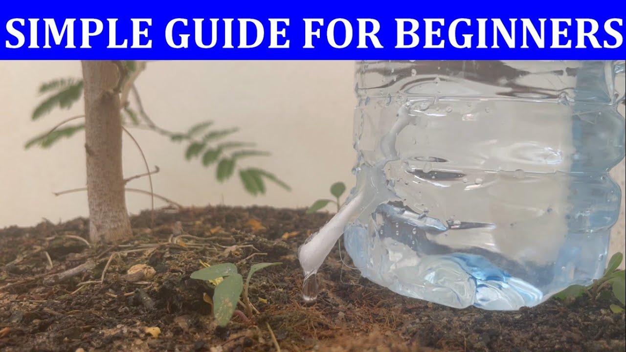 DIY Drip Irrigation: Transforming a Water Bottle and Q-tip into a Smart Watering  System for Plants 