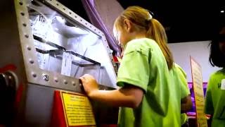 Bug Quest Exhibit at the Michigan Science Center