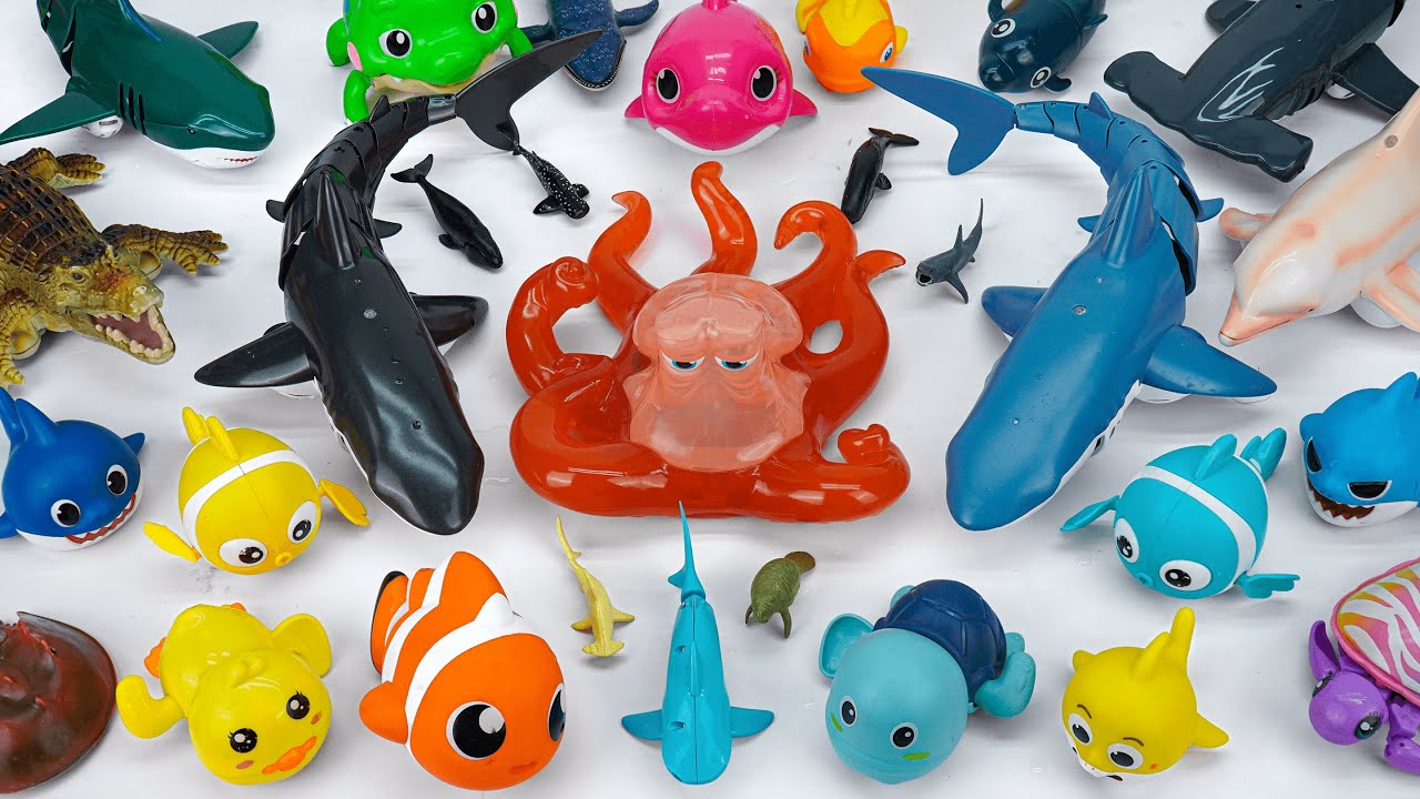 [Toy asmr] RC Shark & Zuru Fish & Hammer Shark & Baby Shark & Aquarium ASMR Satisfying with Unboxing