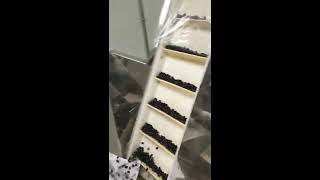 Mysoftgel Automatic Soft Capsule sorter, 12-lane