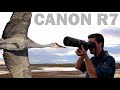 Canon r7 long term review its complicated