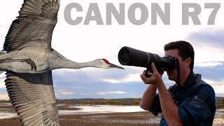 CANON R7 Long Term Review: It's Complicated