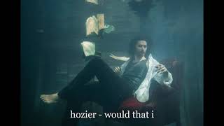 Hozier - Would That I [1 HOUR]