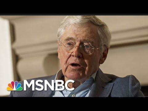 How Koch Products Touch Your Daily Life | Velshi & Ruhle | MSNBC