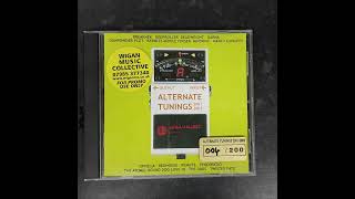 Kermitz Middle Finger - Money ['Alternate Tunings 2001-2002' CD - Wigan Music Collective]