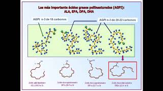 ILSI South-Andean Webinar Importancia nutricional del DHA_ desde el cerebro al sistema inmune