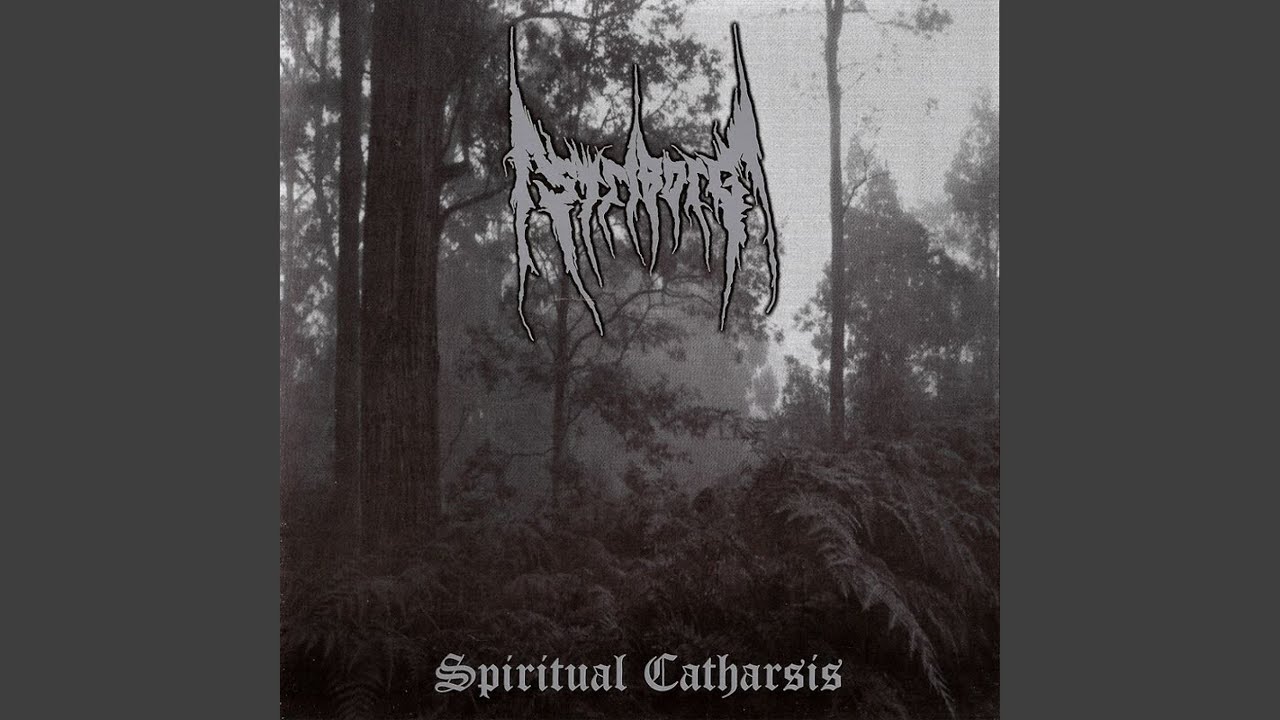 Spiritual Catharsis