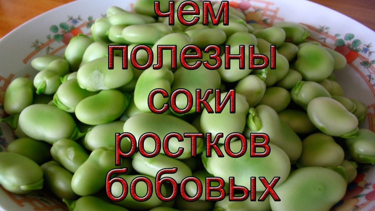 Польза бобов Польза бобов