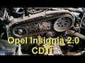 How to replace Timing Belt with Water Pump and Alternator Freewheel Clutch