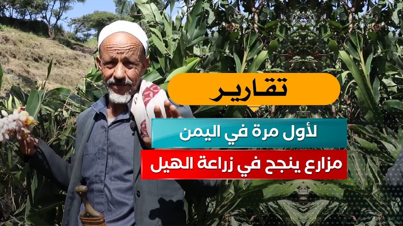 مزارع يتمكن من زراعة الهيل في اليمن