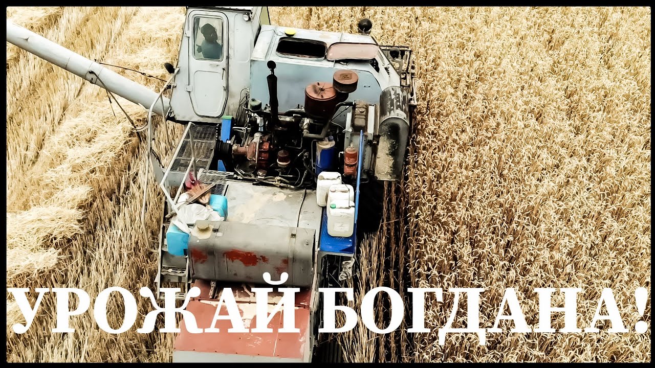 Нива уборка видео