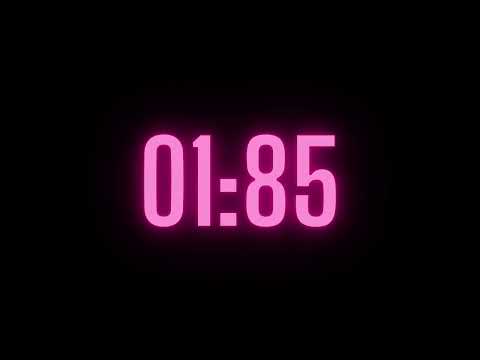 215 Second Timer with Alarm