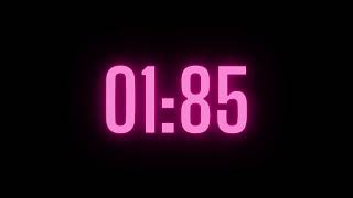 215 Second Timer with Alarm