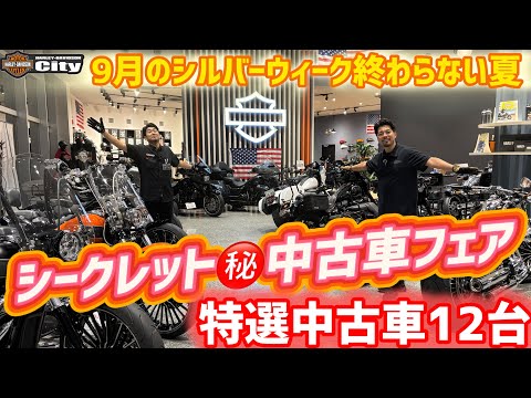 値下げ中ハーレーダビッドソン YouTube