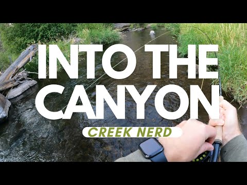 Super Deep Canyon Tiny Stream #adventure #fishing #hiking #nature 