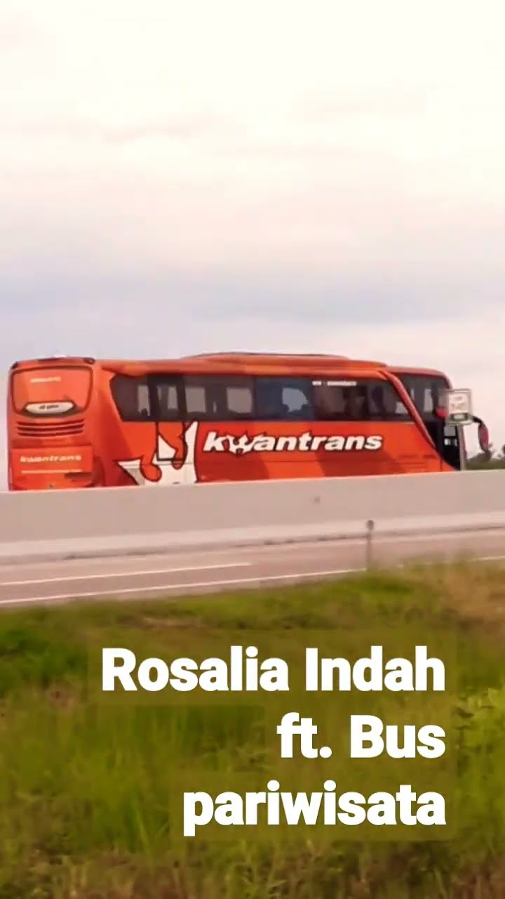 Rosalia Indah: Lebih dari Sekadar Bus Pariwisata, Sebuah Legenda di Jalan Raya