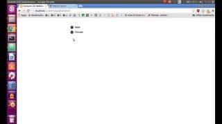 How To Make Custom Radio Buttons in CSS