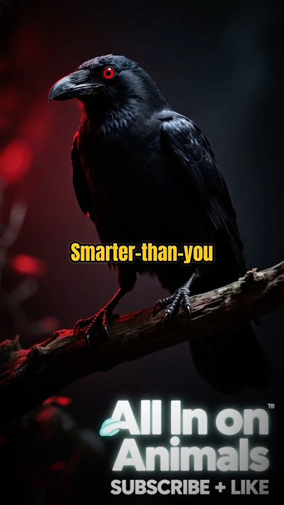 The Bird That Outsmarts Humans 😯