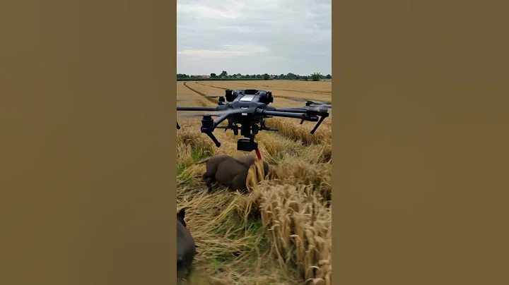 Drones capture wild boars that destroy crops #villagelife#smartfarming#farmingtraditions#farming101