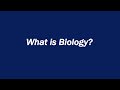 The Essence of Biology: Exploring Life and Its Complexities
