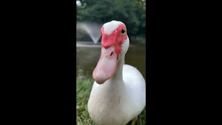 AQNc0bSgArKzhYO3wsk7GSZYqTuWODGYo3UaeAO-i6Nd0DP-b-uu27lezBAWDkS4F2_HwlsjRcMw0Pni9Fr3h5fP.mp4 AQNc0bSgArKzhYO3wsk7GSZYqTuWODGYo3UaeAO-i6Nd0DP-b-uu27lezBAWDkS4F2_HwlsjRcMw0Pni9Fr3h5fP.mp4