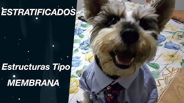Estratificados - Estructuras Membrana en Materiales Compuestos
